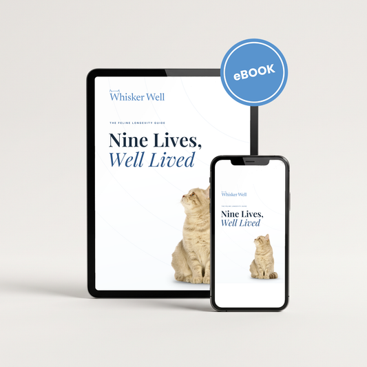E-Book: Nine Lives, Well Lived
