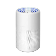 Traditional Purifiers